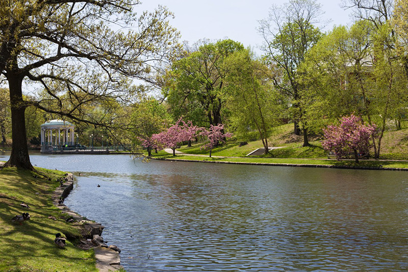 photo of roger williams park
